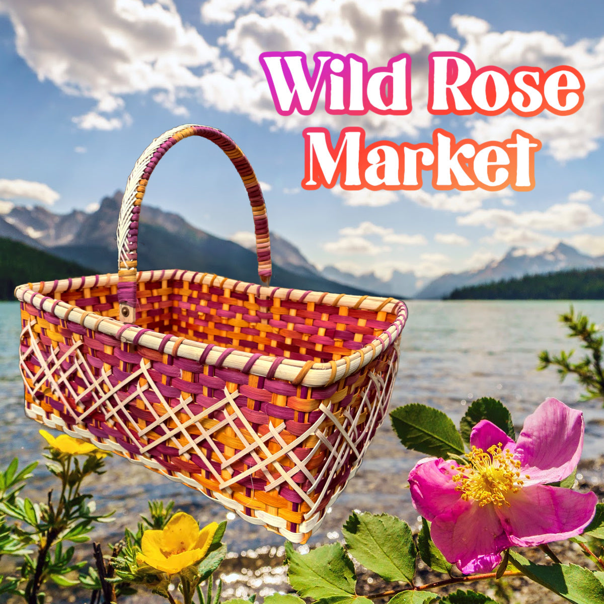 Wild Roses and Sun Bundle
