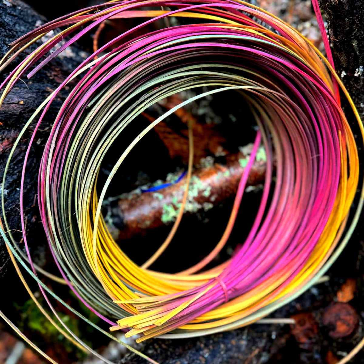 DYE HOUSE ROCKS: Ombre Tamarack
