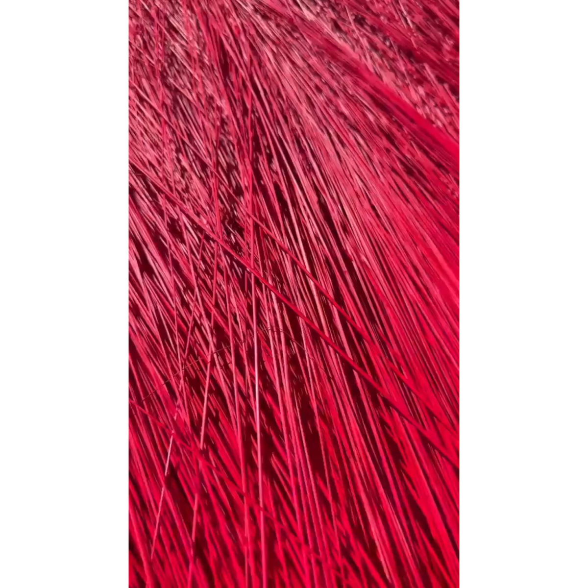 BADASS DYED BROOMCORN