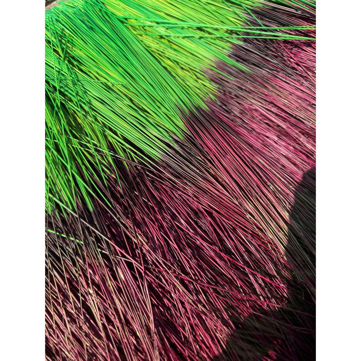 BADASS DYED BROOMCORN