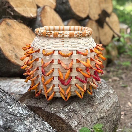 Sun of the raven pattern