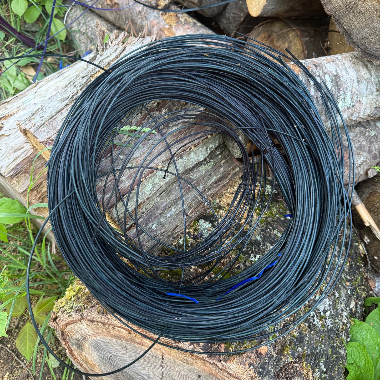 DYE HOUSE ROCKS: Marine #3 Round