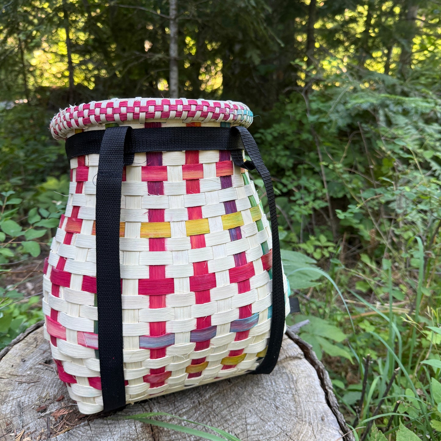 Hummingbird Mini Pack