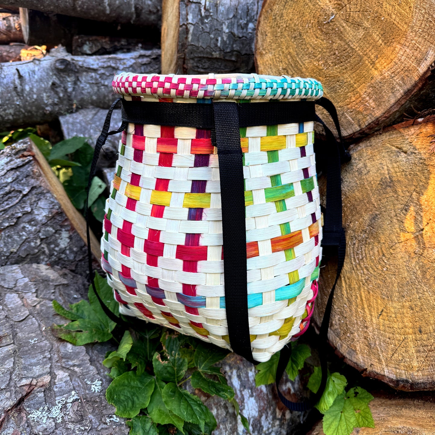 Hummingbird Mini Pack
