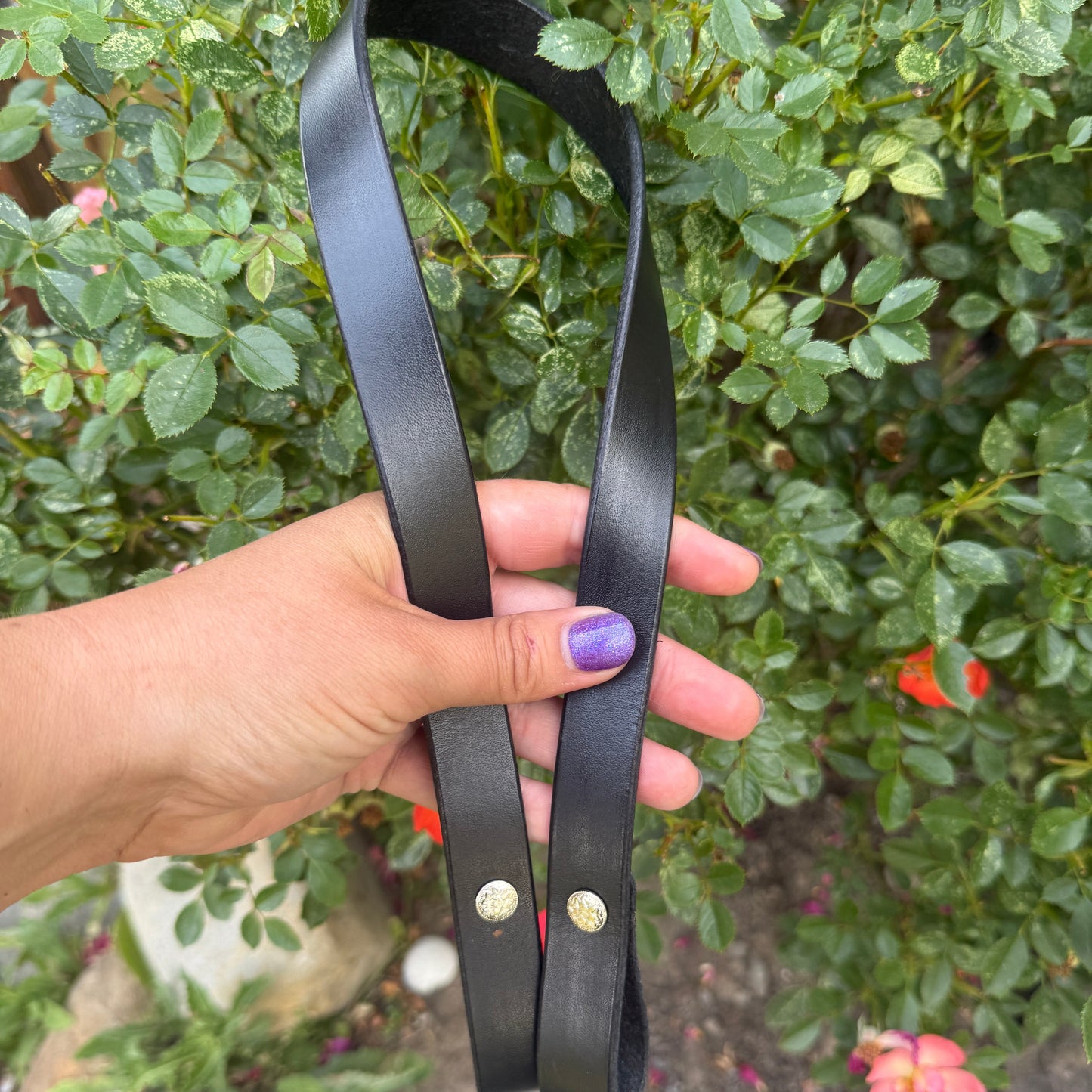 Leather Handles
