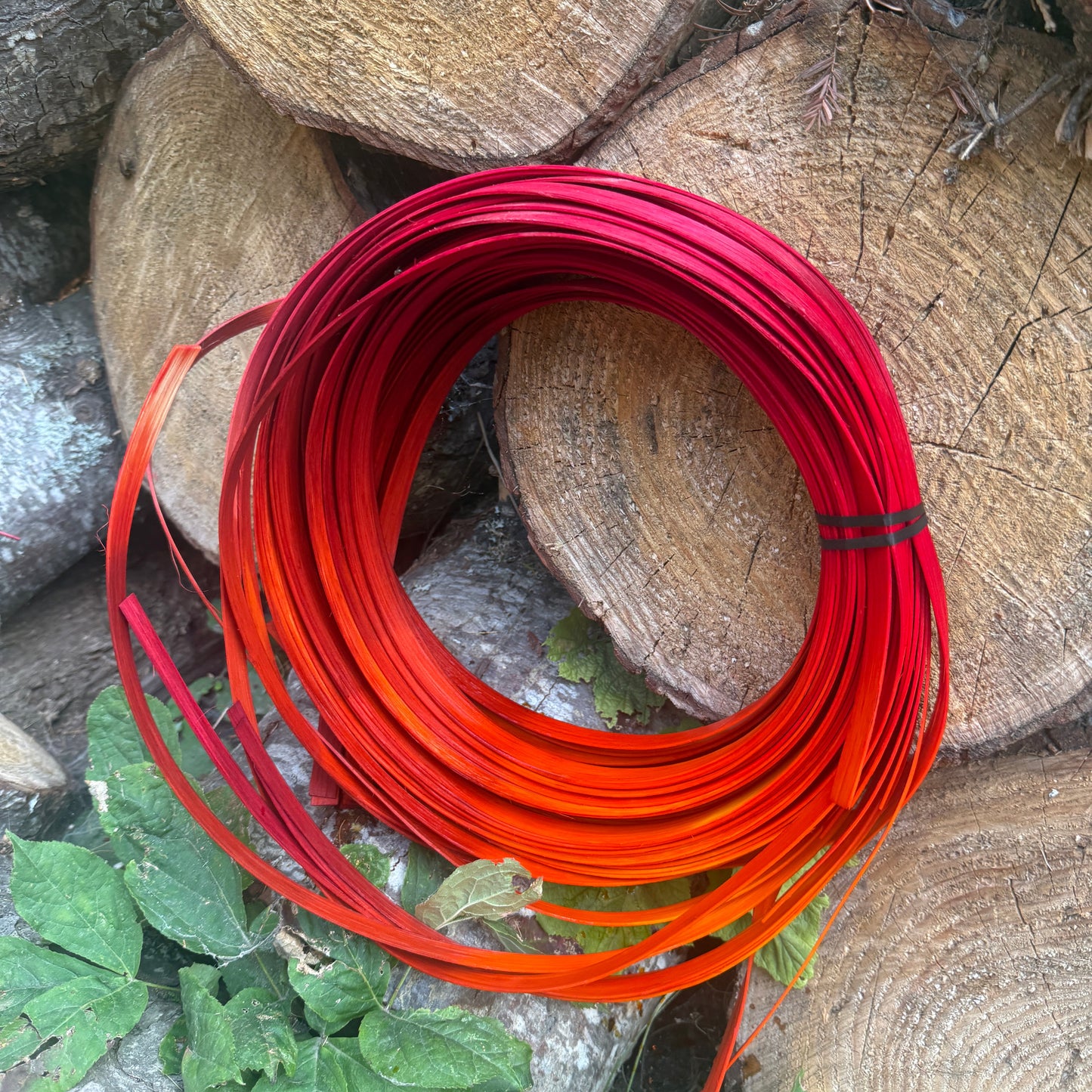 DYE HOUSE ROCKS: Wild Fire Reed 3/4 Reed One Pound