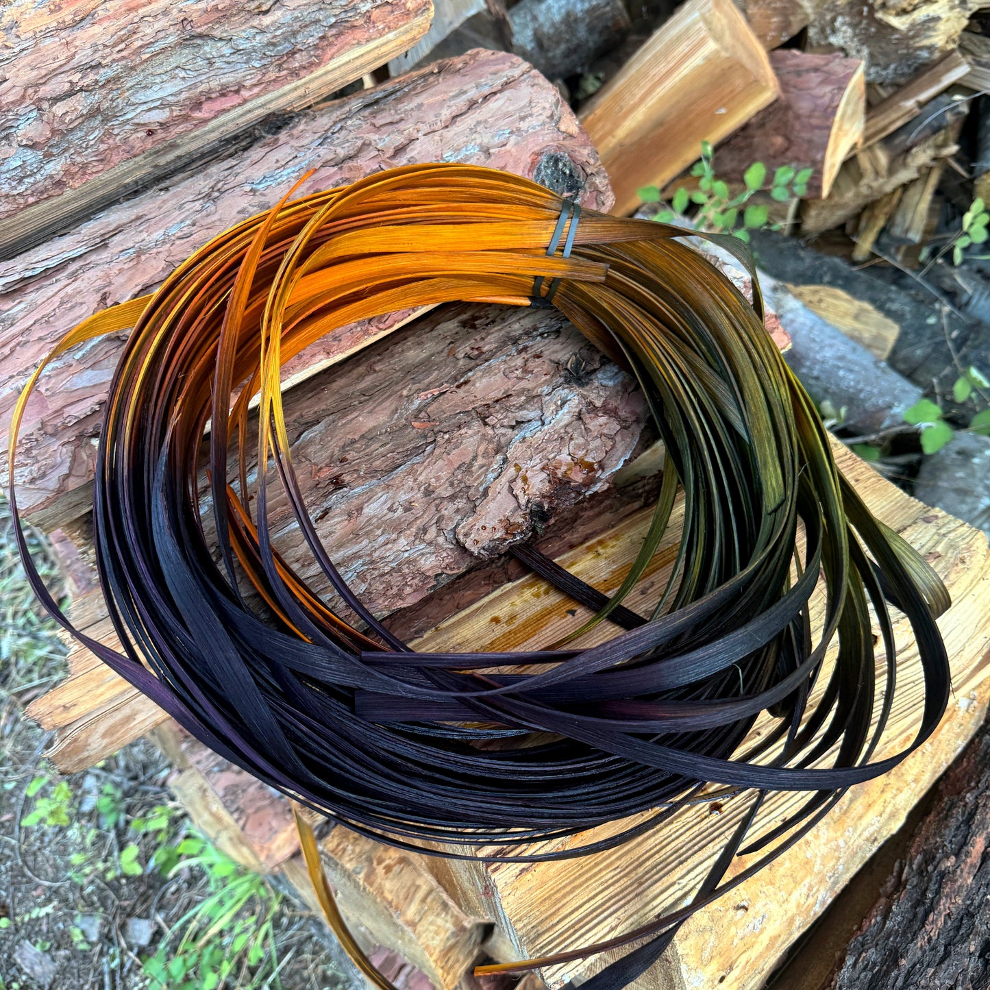 DYE HOUSE ROCKS: Sunflower 1/2" Flat Reed One Pound