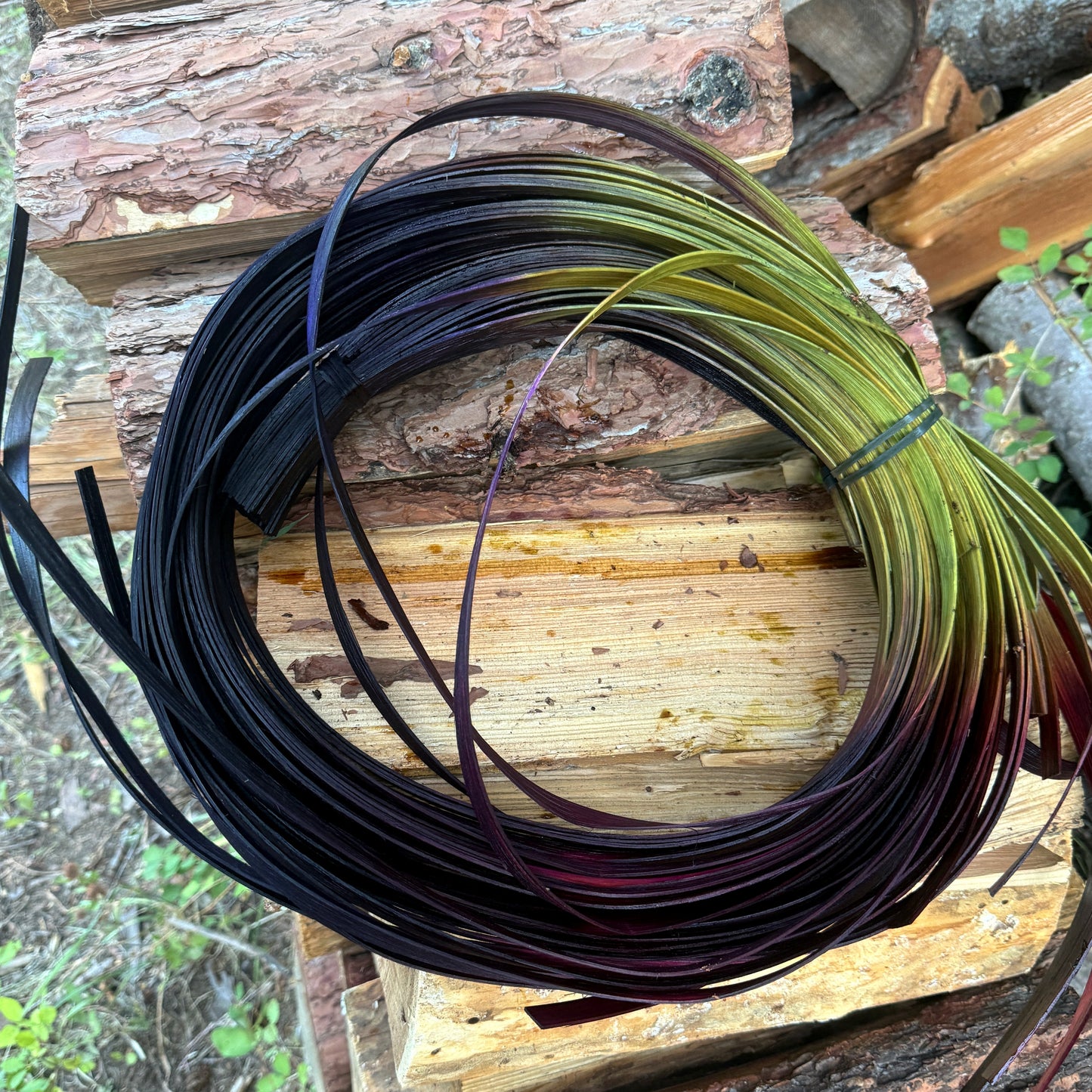 DYE HOUSE ROCKS: Fig 3/4" Flat Reed One Pound