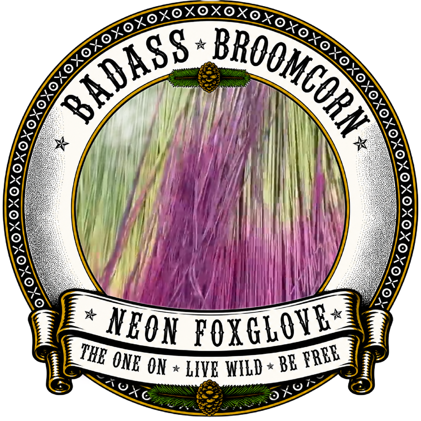 BADASS DYED BROOMCORN
