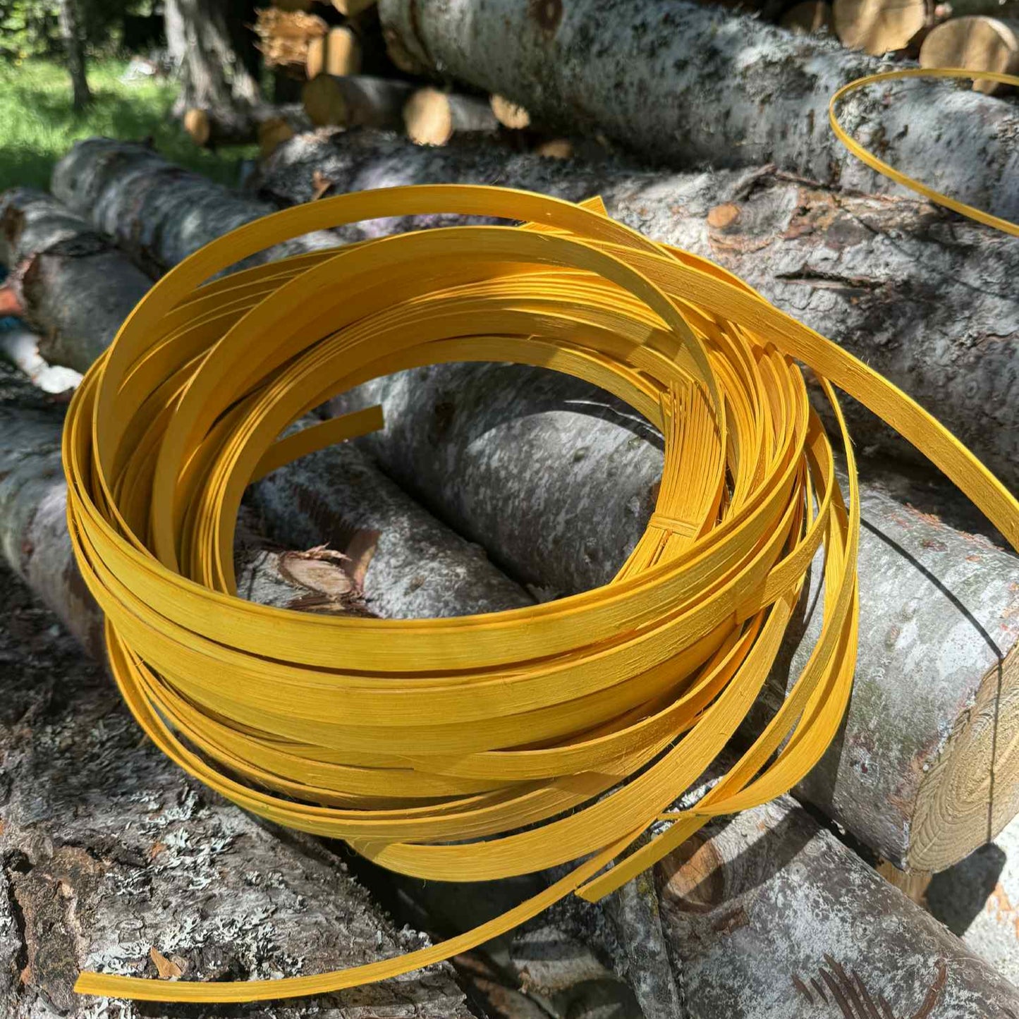 Apple Harvest 1/2" Flat Solid Colorway Bundle