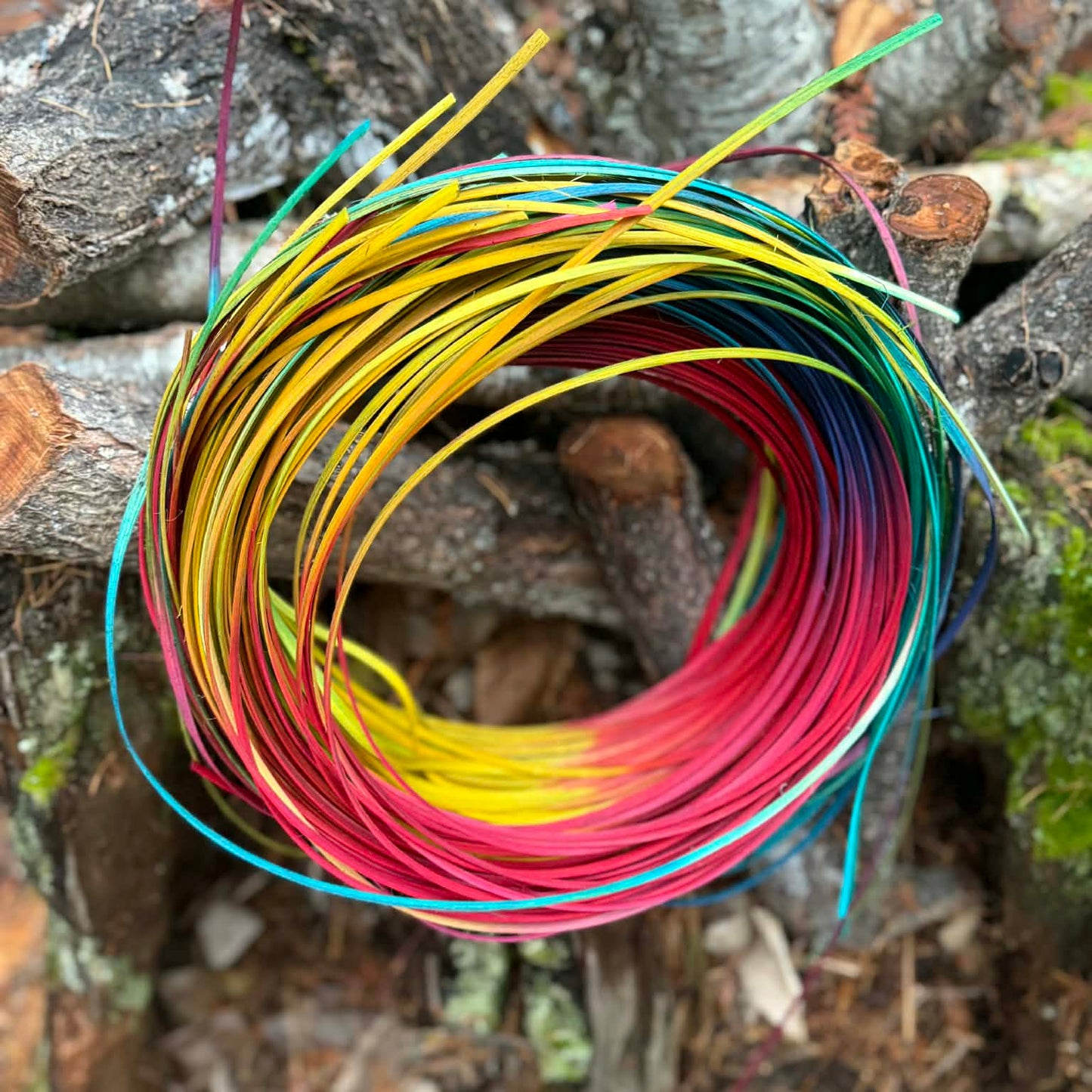 1/4" FO Rainbow Reed One Pound