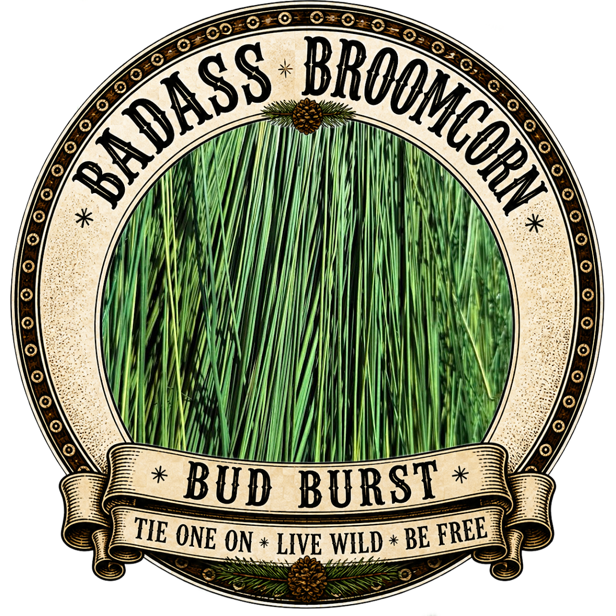 BADASS DYED BROOMCORN