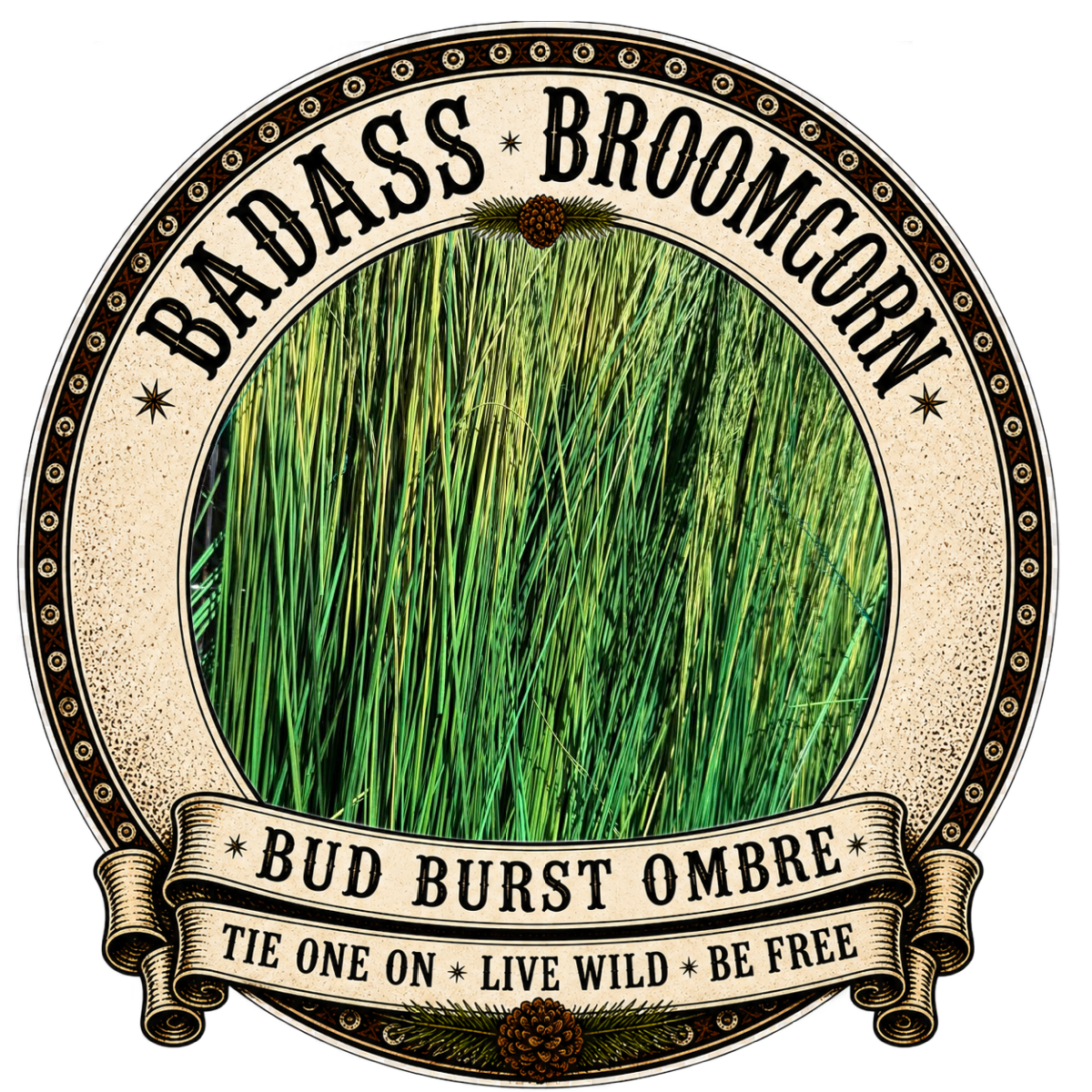 BADASS DYED BROOMCORN