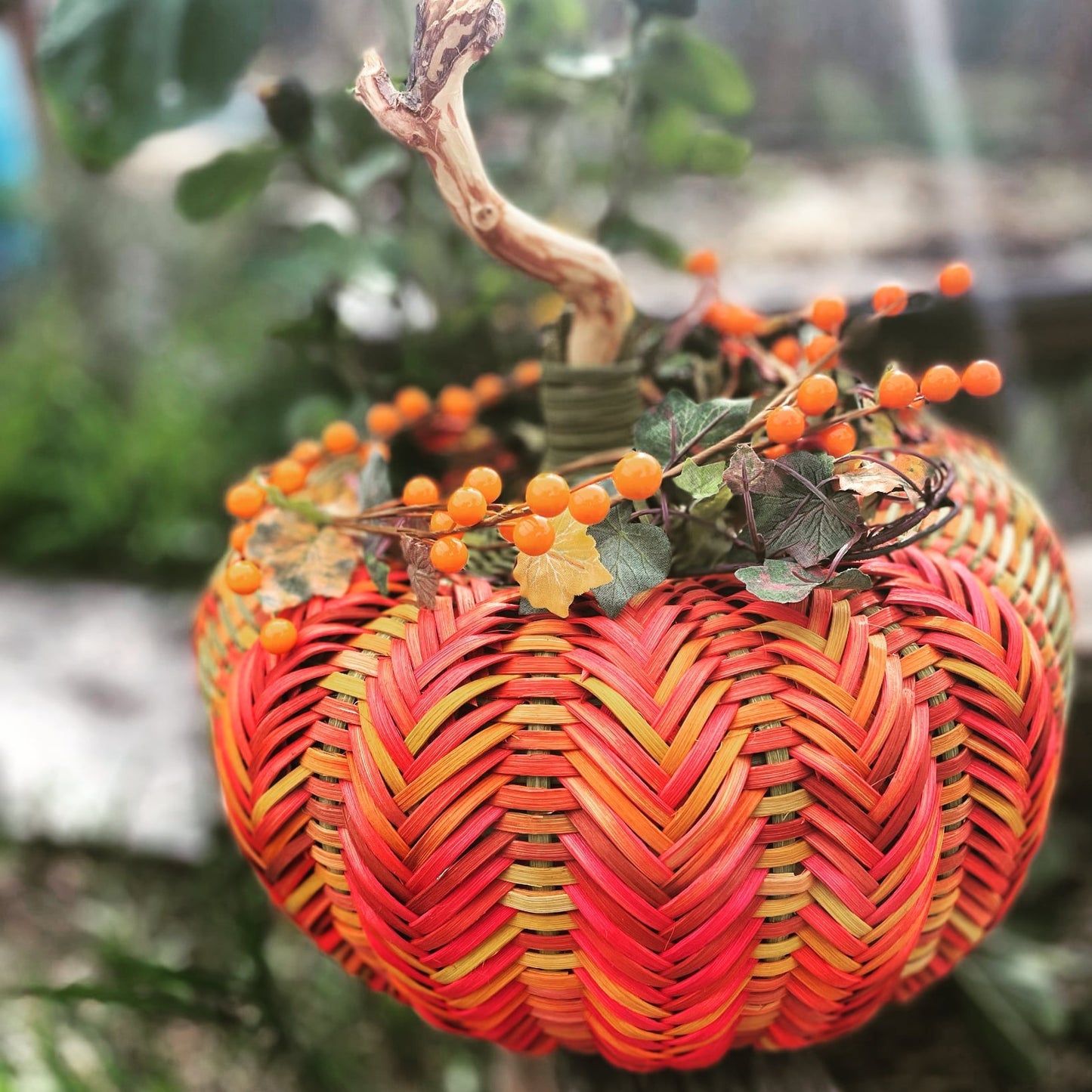 Pumpkin Duo Bundle