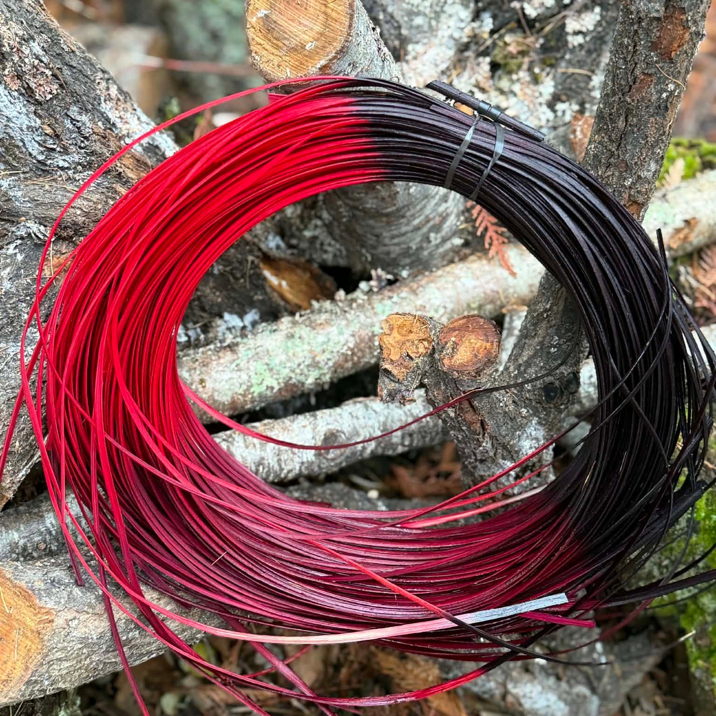 Raven's Reed #2 Round One Pound