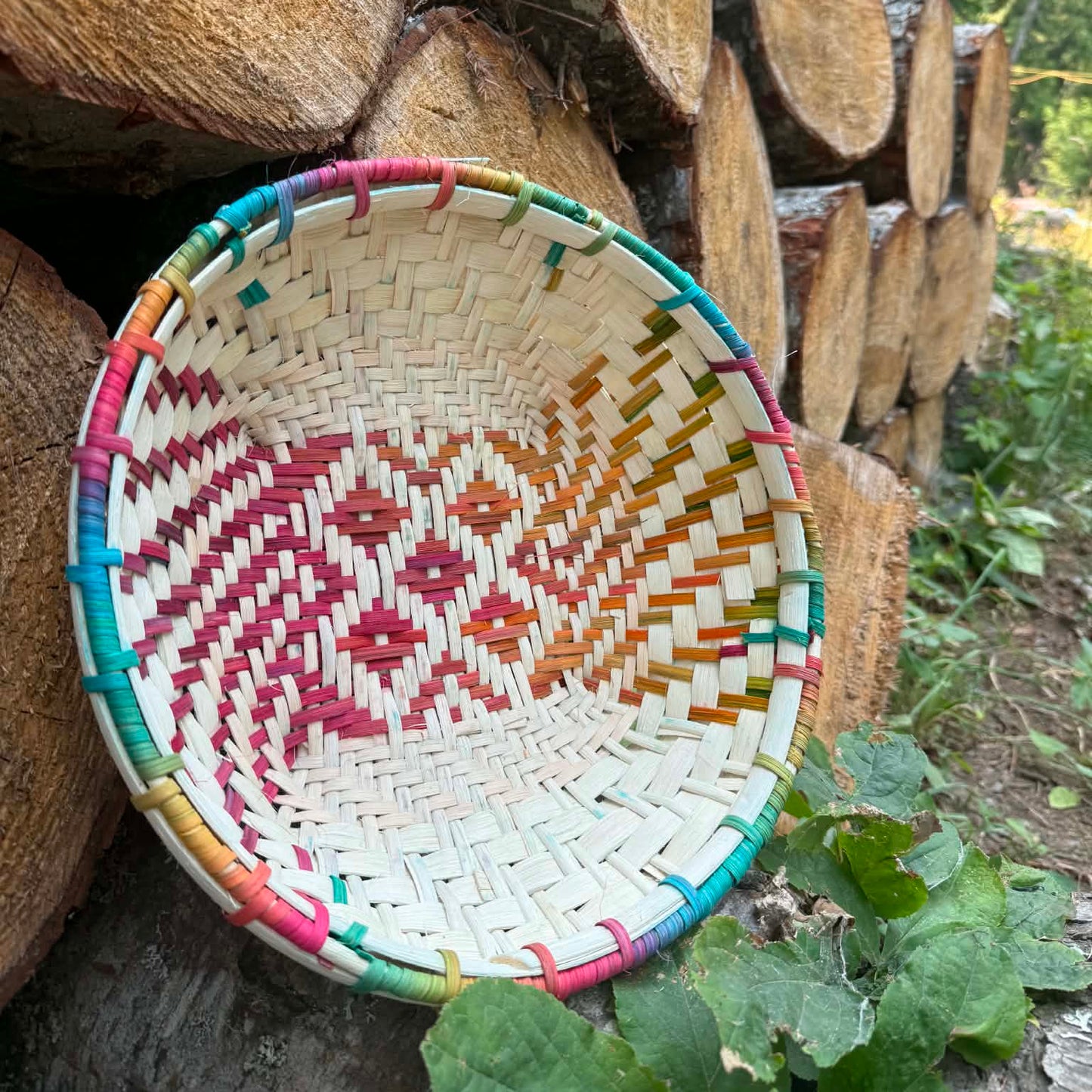 Wild Streak Tray
