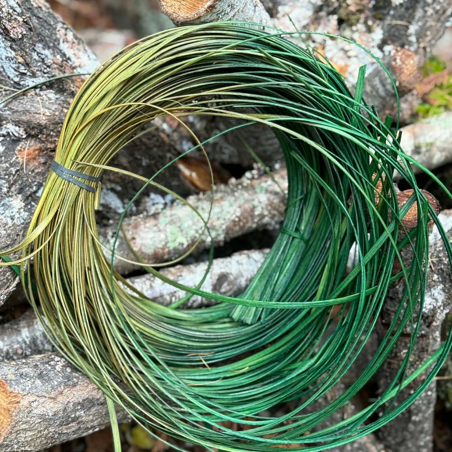 Oscar's Ombre #2 Round Reed One Pound