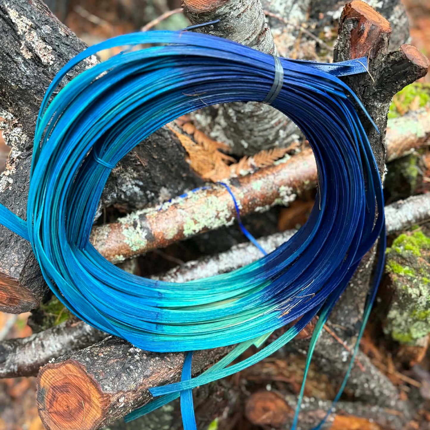 Blue Ombre 3/4" Reed One Pound