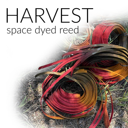 HARVEST space dyed reed