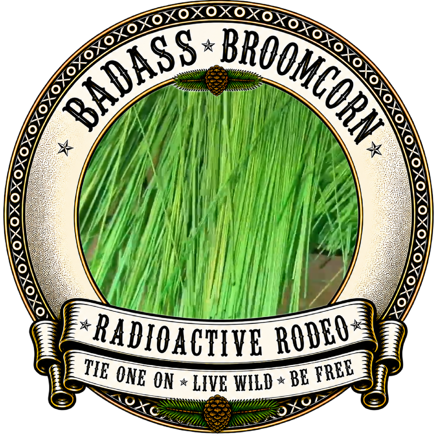 BADASS DYED BROOMCORN